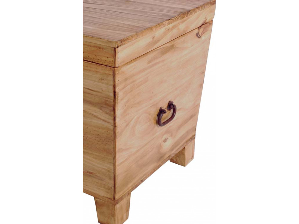 Truhe Mexico Möbel Landhaus Pinie Honig