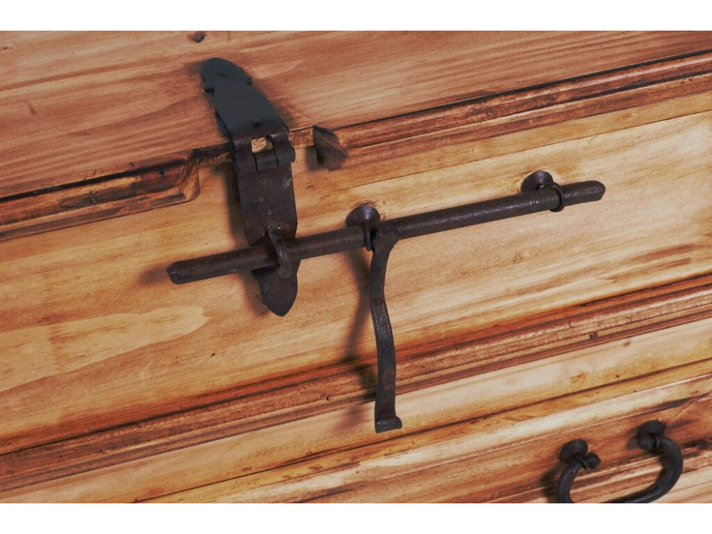 Truhe Mexico Möbel Landhaus Pinie Honig