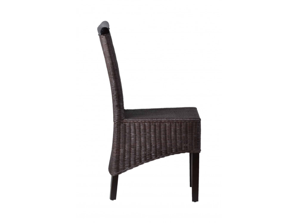 Esszimmerstuhl Rattan Modern Mango Braun