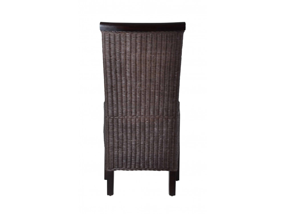 Esszimmerstuhl Rattan Modern Mango Braun