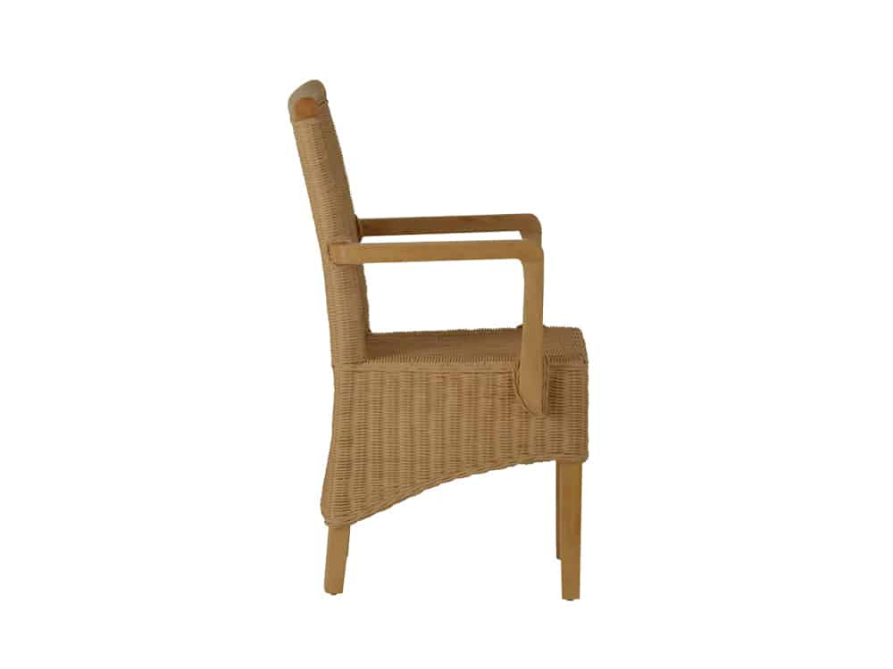 Armlehnstuhl Rattan Modern Mahagoni Rattan natur