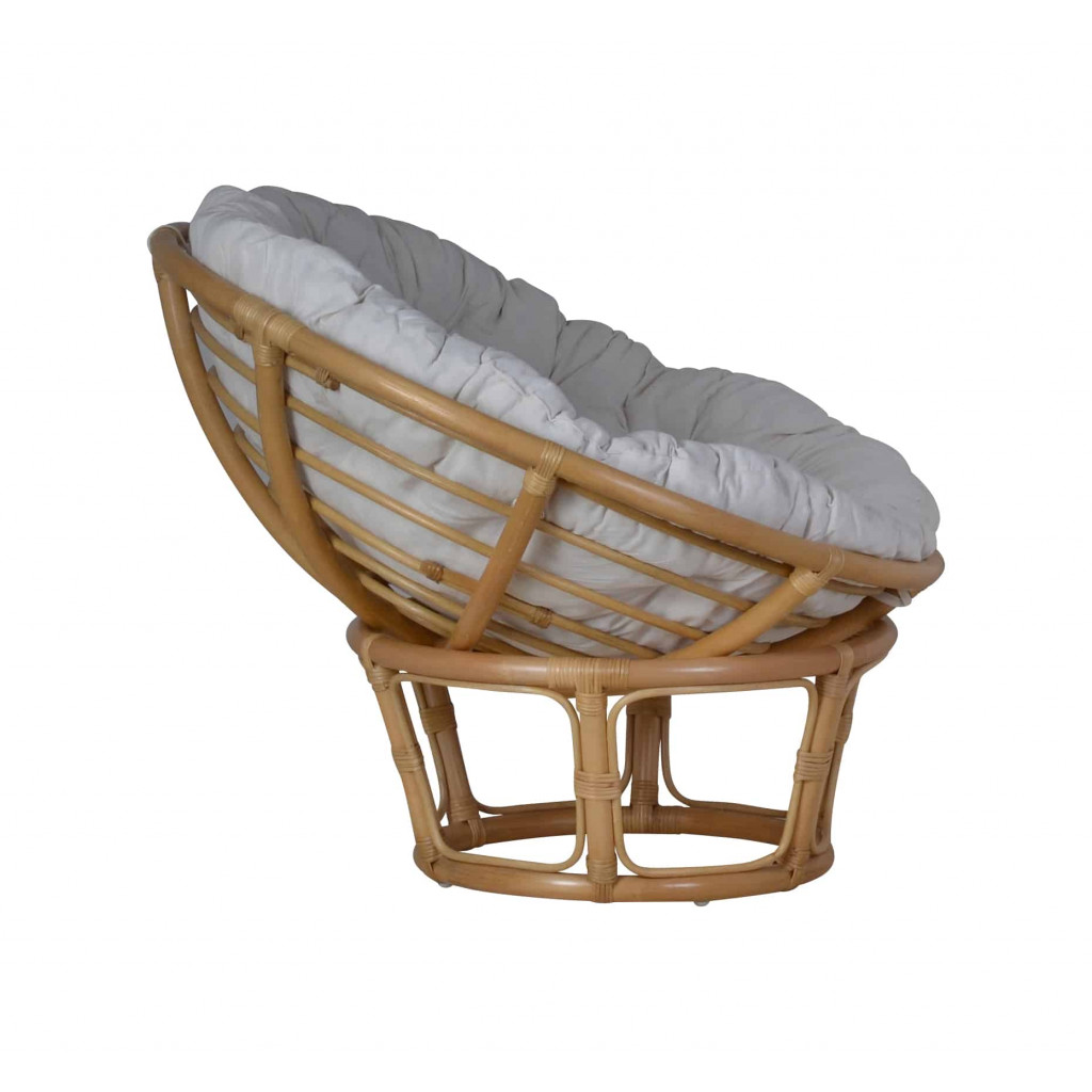 Sessel Rattan Modern Rattan Honig