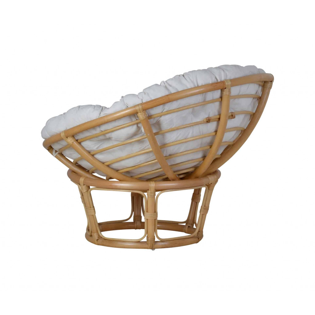 Sessel Rattan Modern Rattan Honig