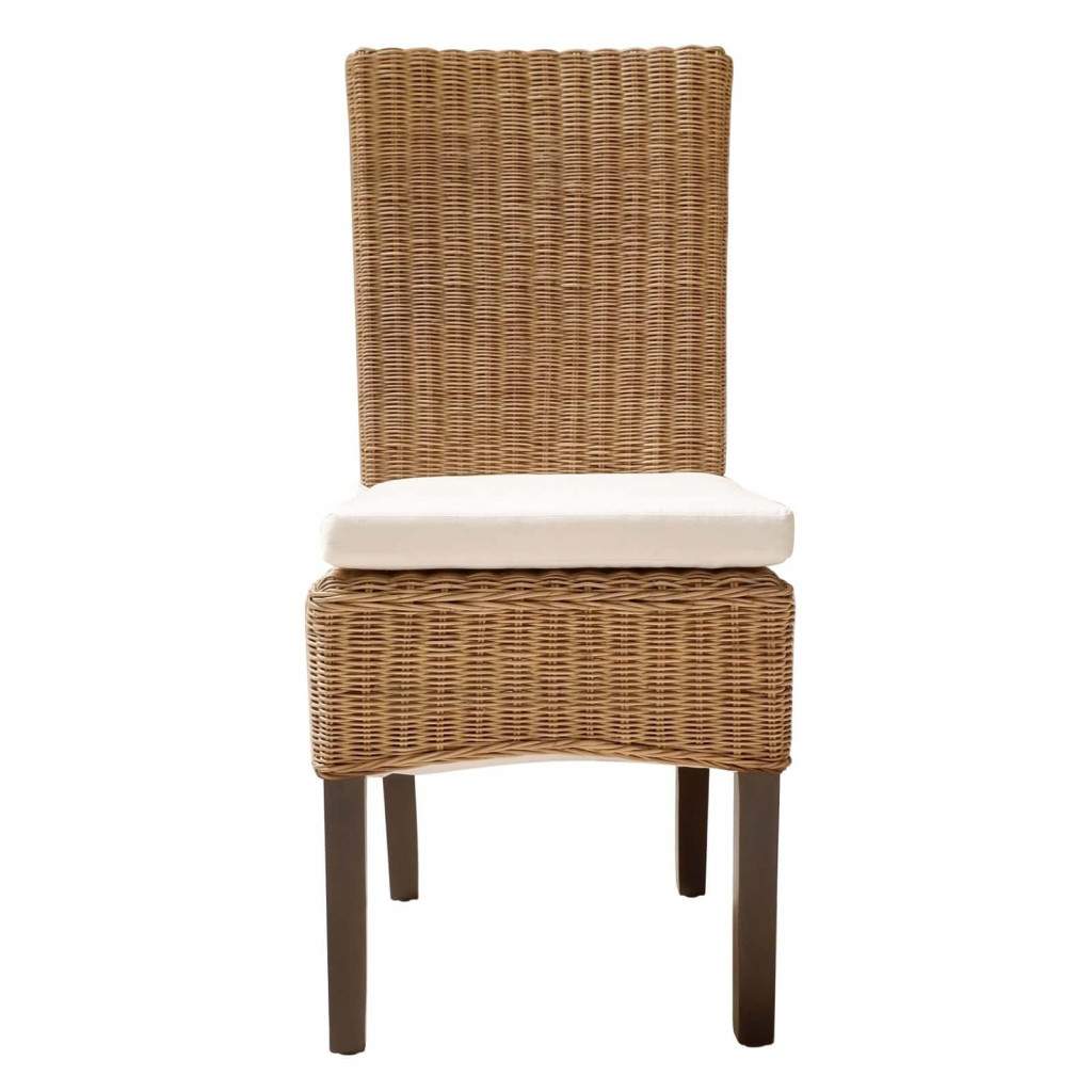 Esszimmerstuhl Rattan Modern Honig