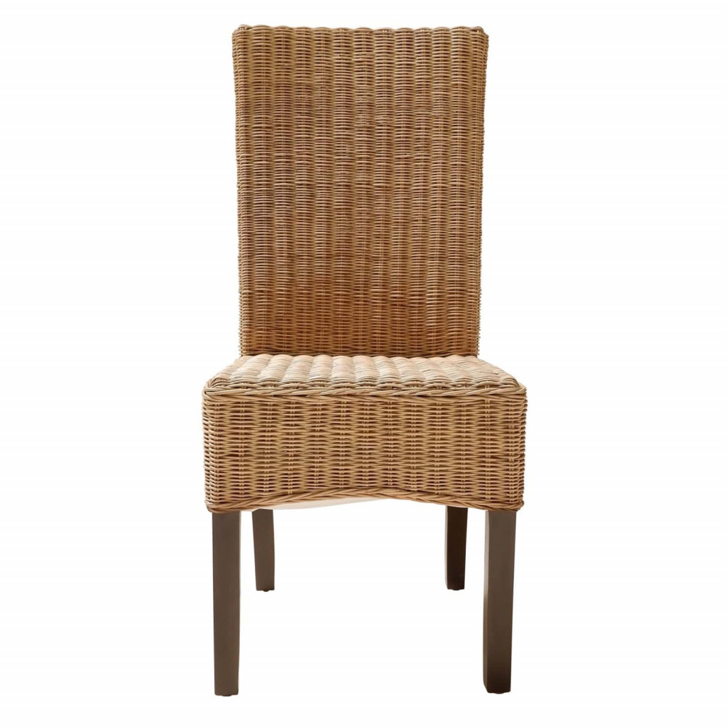 Esszimmerstuhl Rattan Modern Honig