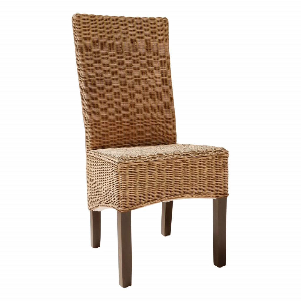 Esszimmerstuhl Rattan Modern Honig