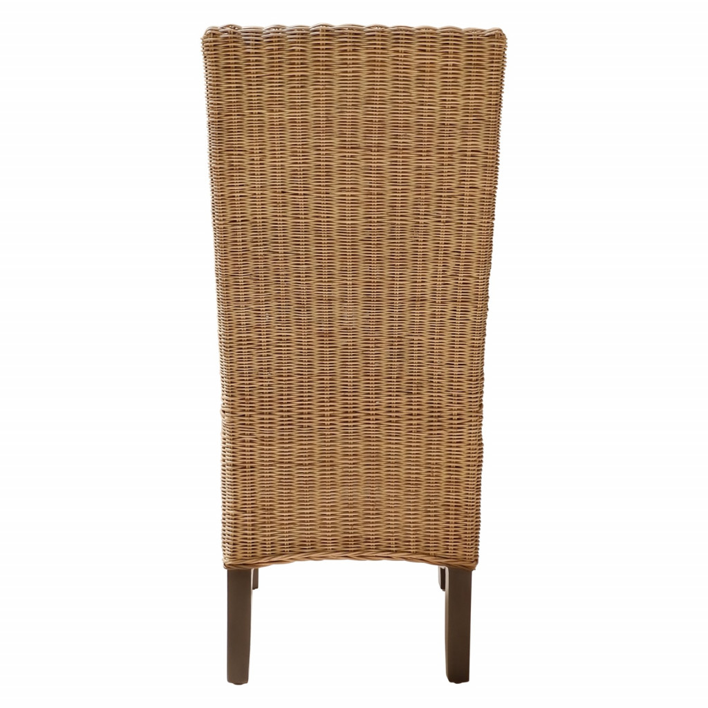 Esszimmerstuhl Rattan Modern Honig