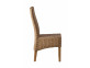 Esszimmerstuhl  Modern Rattan Honig