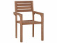 Gartenstuhl  Gartenmöbel Outdoor Modern Teak Honig