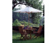 Schirm  Gartenmöbel Outdoor Modern Teak Beige