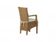 Armlehnstuhl Rattan Modern Mahagoni Rattan natur