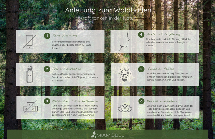 Waldbaden Das Grune Wundermittel Miamobel