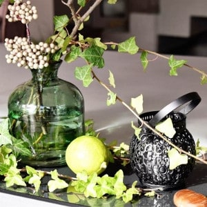 Efeu in Vase